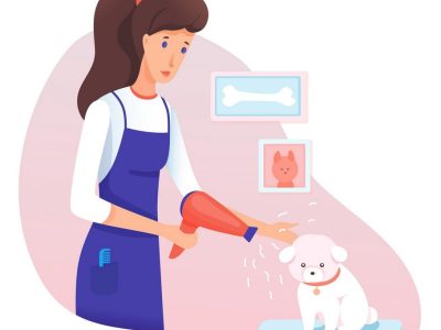 Организация на киноложките дейности